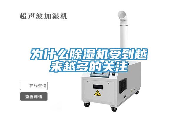 為什麽香蕉视频国产受到越來越多的關注