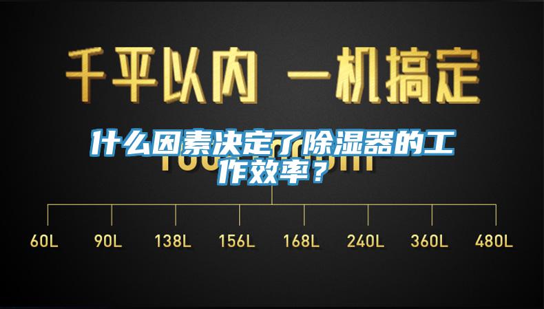 什麽因素決定了除濕器的工作效率？