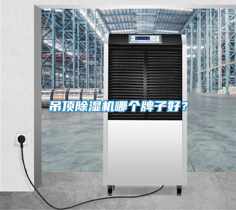 吊頂香蕉视频国产哪個牌子好？