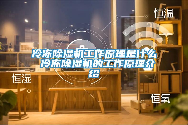 冷凍香蕉视频国产工作原理是什麽 冷凍香蕉视频国产的工作原理介紹