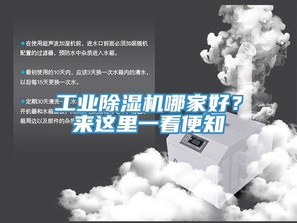 工業香蕉视频国产哪家好？來這裏一看便知