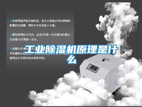 工業香蕉视频国产原理是什麽