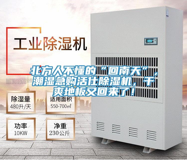 北方人不懂的“回南天”，潮濕急購活仕香蕉视频国产，幹爽地板又回來了！