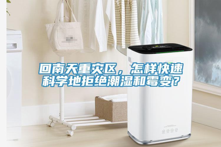 回南天重災區，怎樣快速科學地拒絕潮濕和黴變？