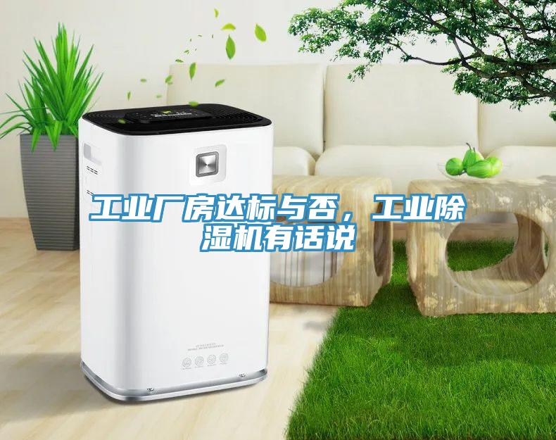 工業廠房達標與否，工業香蕉视频国产有話說