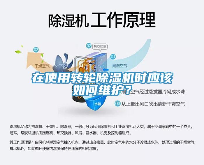 在使用轉輪香蕉视频国产時應該如何維護？