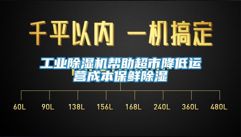 工業香蕉视频国产幫助超市降低運營成本保鮮除濕