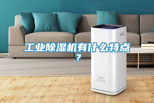 工業香蕉视频国产有什麽特點？