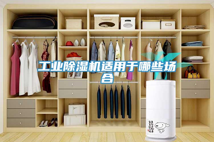 工業香蕉视频国产適用於哪些場合