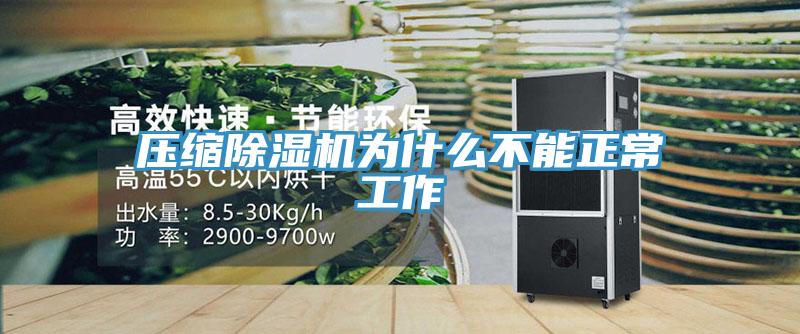 壓縮香蕉视频国产為什麽不能正常工作