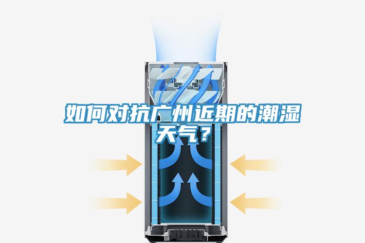 如何對抗廣州近期的潮濕天氣？