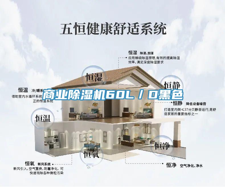 商業香蕉视频国产60L／D黑色