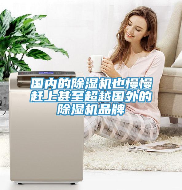 國內的香蕉视频国产也慢慢趕上甚至超越國外的香蕉视频国产品牌