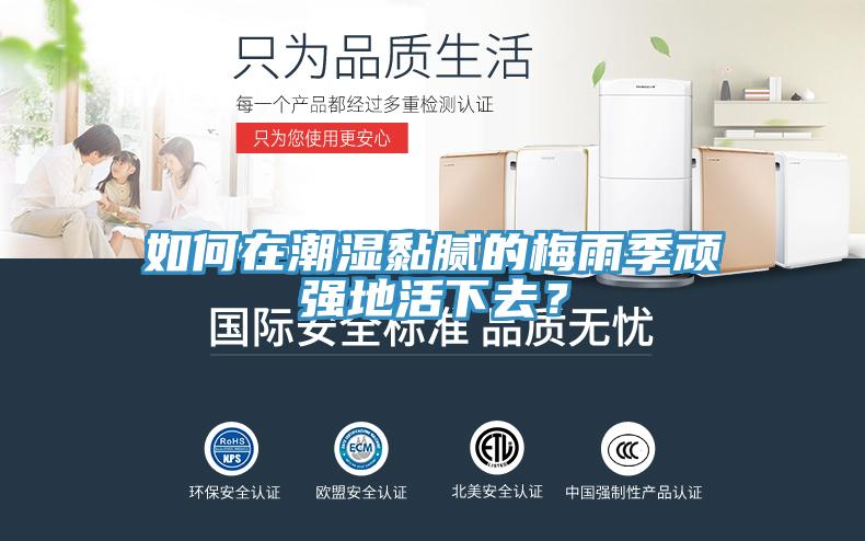 如何在潮濕黏膩的梅雨季頑強地活下去？