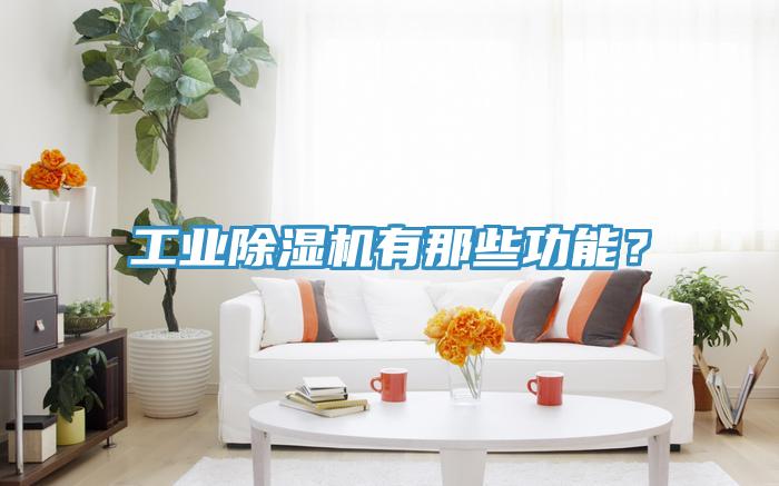 工業香蕉视频国产有那些功能？