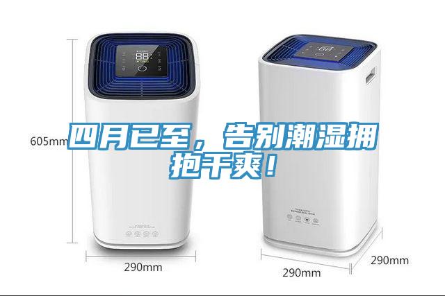 四月已至，告別潮濕擁抱幹爽！
