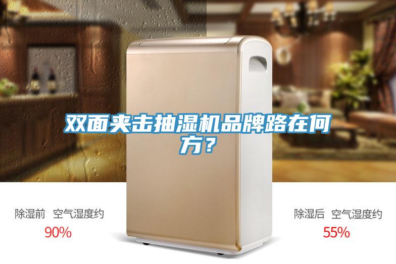 雙麵夾擊抽濕機品牌路在何方？