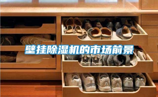 壁掛香蕉视频国产的市場前景