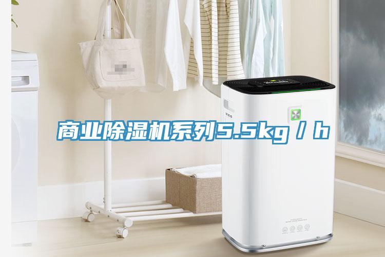 商業香蕉视频国产係列5.5kg／h