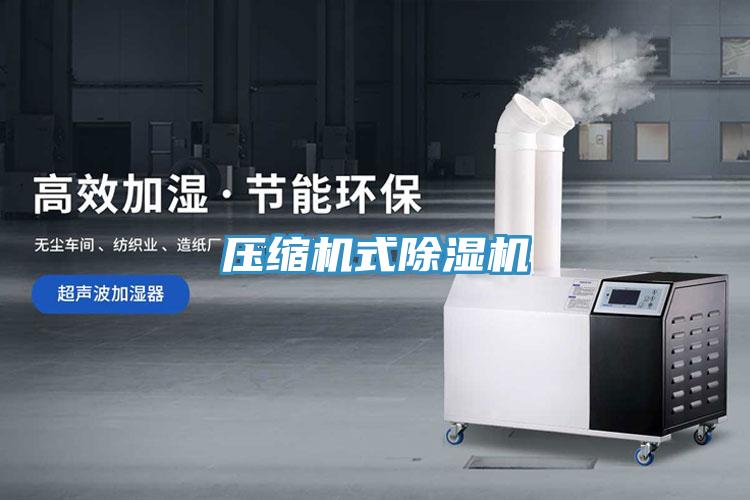 壓縮機式香蕉视频国产