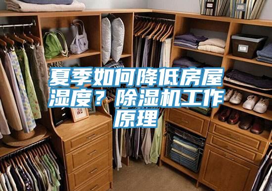 夏季如何降低房屋濕度？香蕉视频国产工作原理