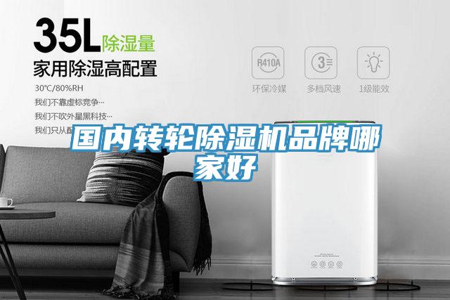 國內轉輪香蕉视频国产品牌哪家好