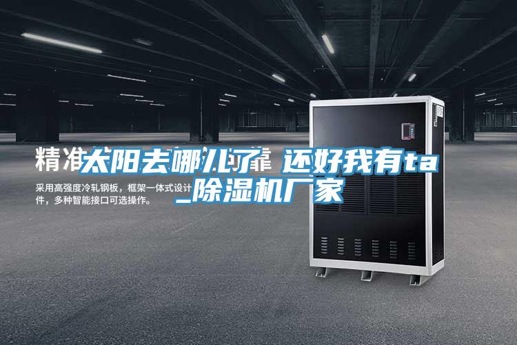 太陽去哪兒了 還好我有ta_香蕉视频国产廠家