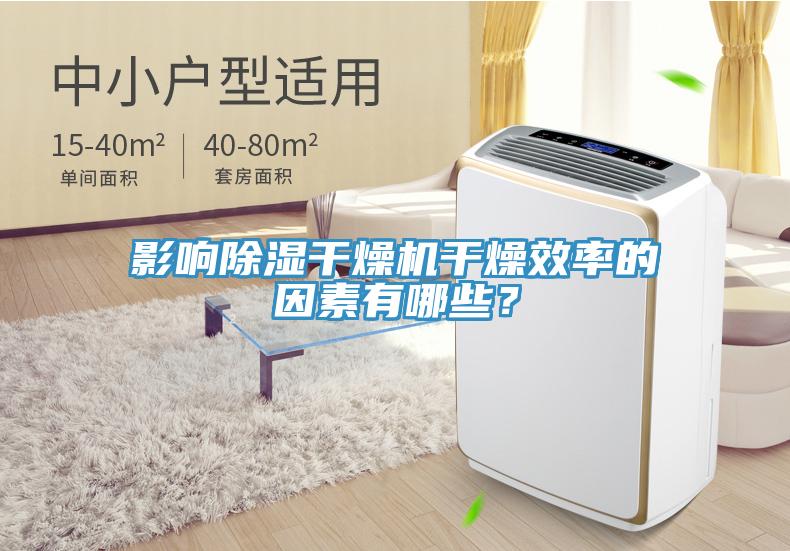 影響除濕幹燥機幹燥效率的因素有哪些？