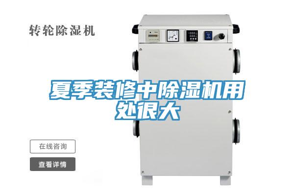 夏季裝修中香蕉视频国产用處很大