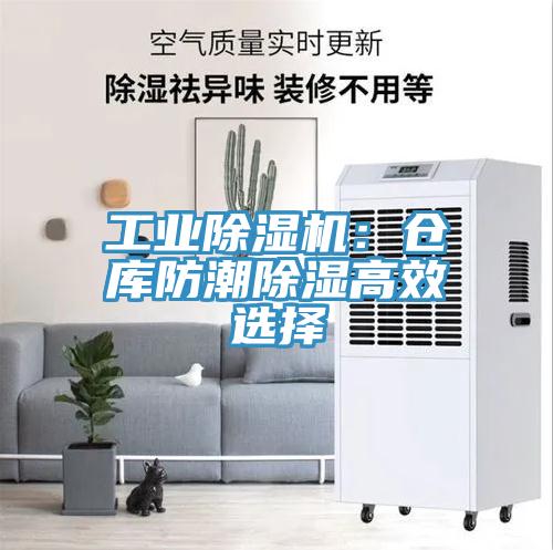 工業香蕉视频国产：倉庫防潮除濕高效選擇