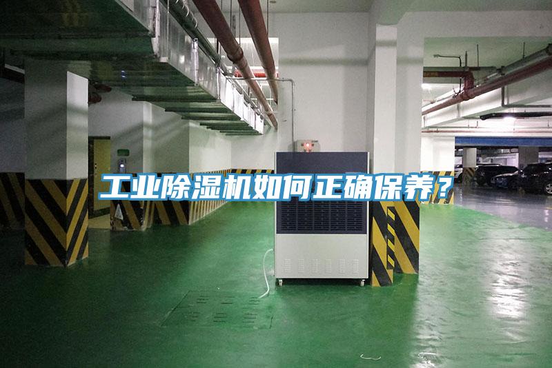 工業香蕉视频国产如何正確保養？