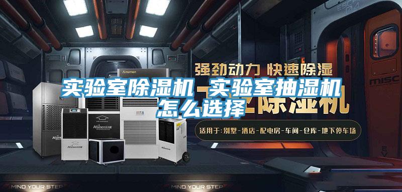 實驗室香蕉视频国产 實驗室抽濕機怎麽選擇