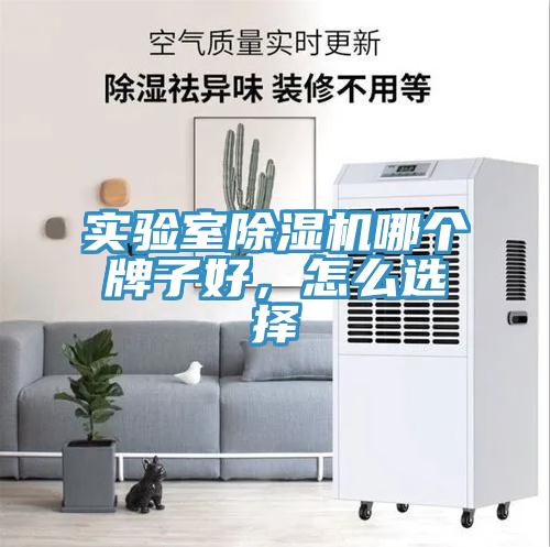 實驗室香蕉视频国产哪個牌子好，怎麽選擇