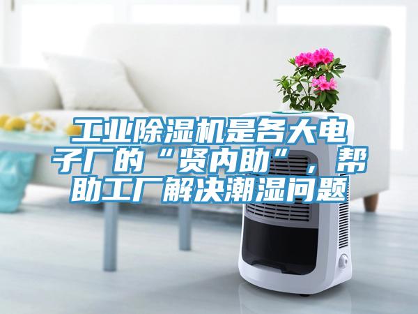 工業香蕉视频国产是各大電子廠的“賢內助”，幫助工廠解決潮濕問題