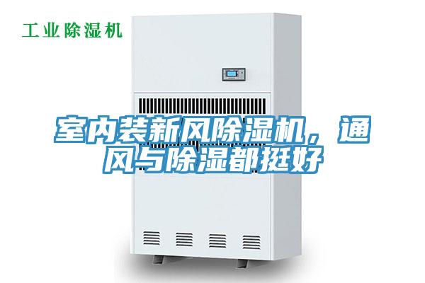 室內裝新風香蕉视频国产，通風與除濕都挺好