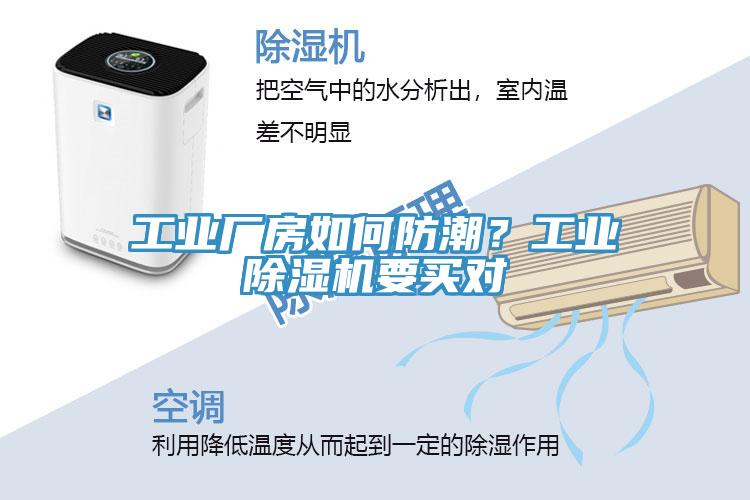 工業廠房如何防潮？工業香蕉视频国产要買對