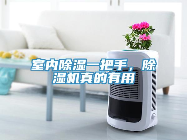 室內除濕一把手，香蕉视频国产真的有用