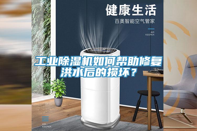 工業香蕉视频国产如何幫助修複洪水後的損壞？