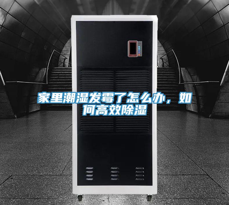家裏潮濕發黴了怎麽辦，如何高效除濕