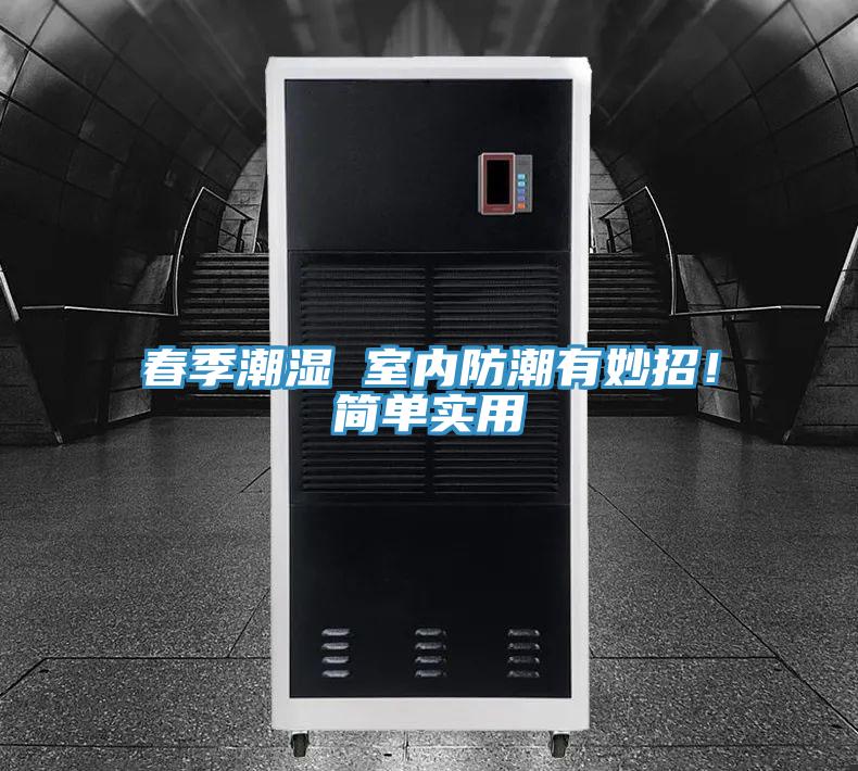 春季潮濕 室內防潮有妙招！簡單實用