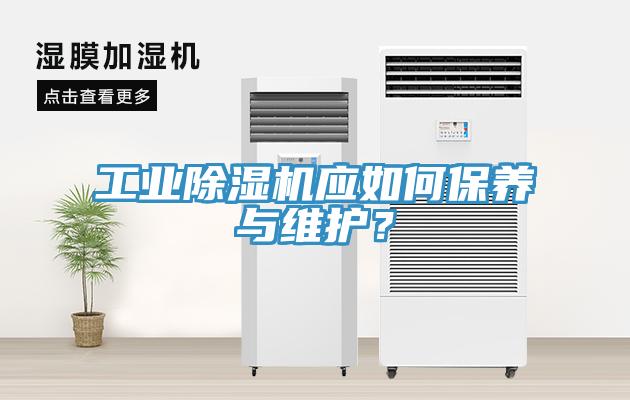 工業香蕉视频国产應如何保養與維護？