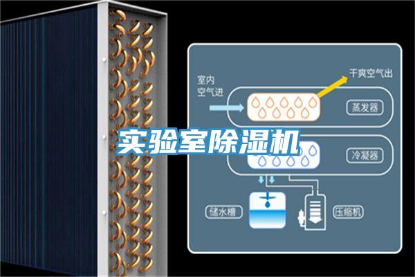 實驗室香蕉视频国产