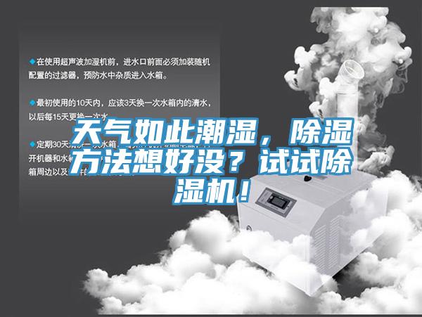 天氣如此潮濕，除濕方法想好沒？試試香蕉视频国产！