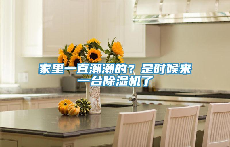 家裏一直潮潮的？是時候來一台香蕉视频国产了