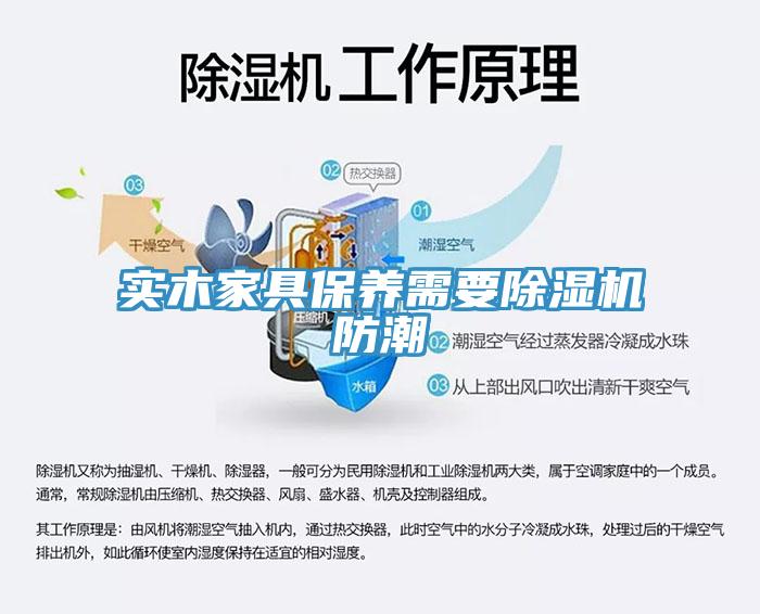 實木家具保養需要香蕉视频国产防潮