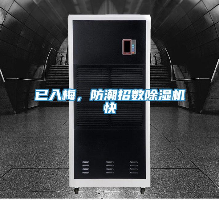 已入梅，防潮招數香蕉视频国产快