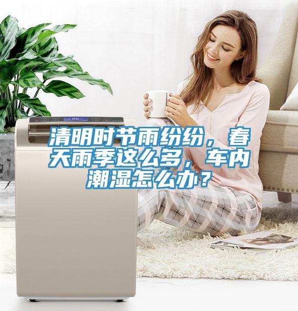 清明時節雨紛紛，春天雨季這麽多，車內潮濕怎麽辦？