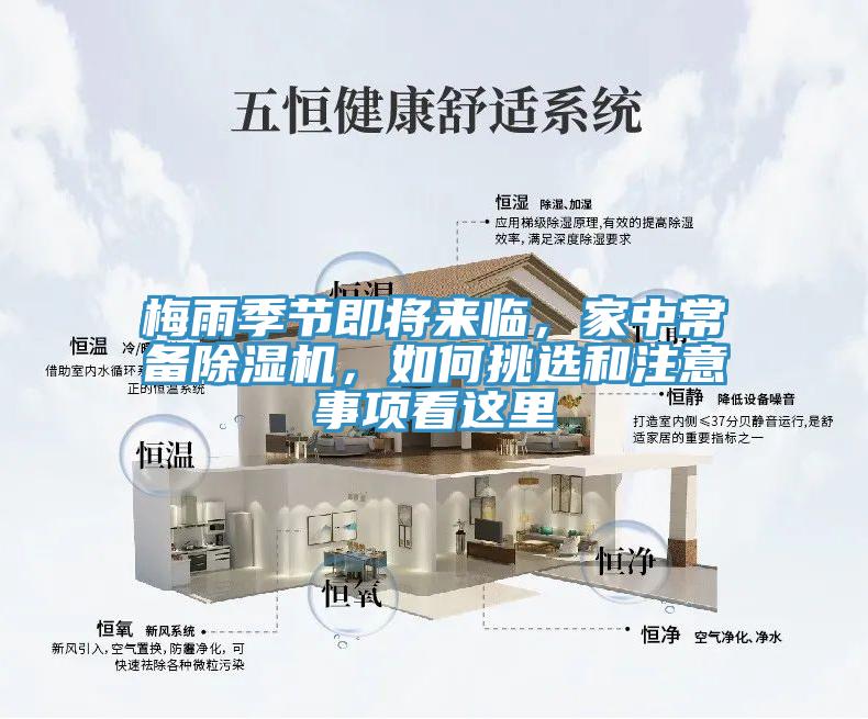 梅雨季節即將來臨，家中常備香蕉视频国产，如何挑選和注意事項看這裏