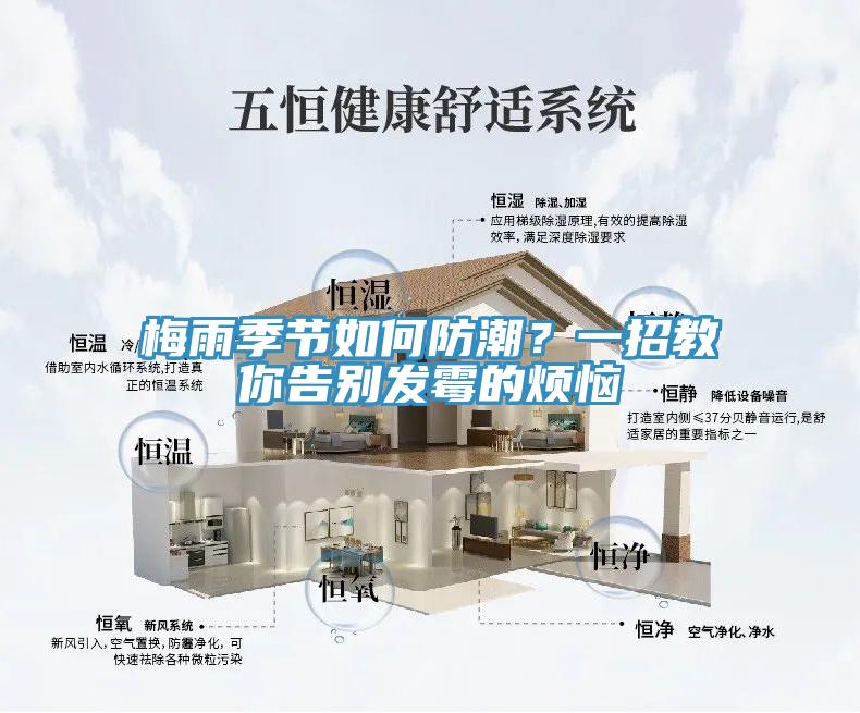 梅雨季節如何防潮？一招教你告別發黴的煩惱