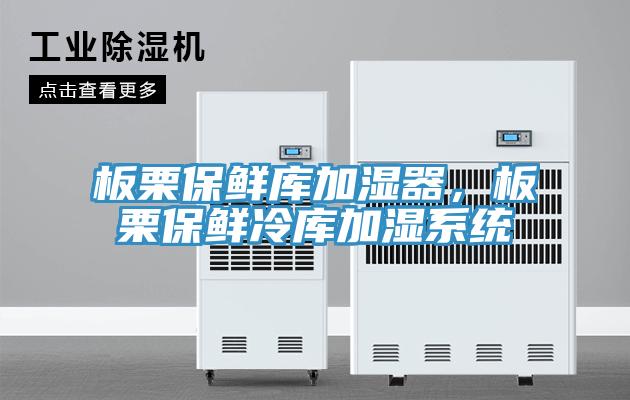 板栗保鮮庫加濕器，板栗保鮮冷庫加濕係統
